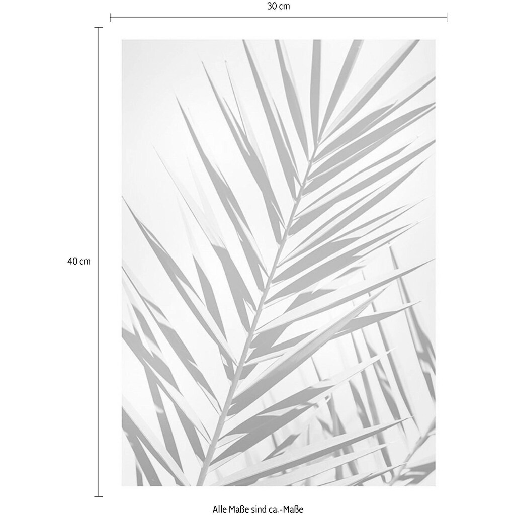 Komar Poster »Shine«, Pflanzen-Blätter, (1 St.)