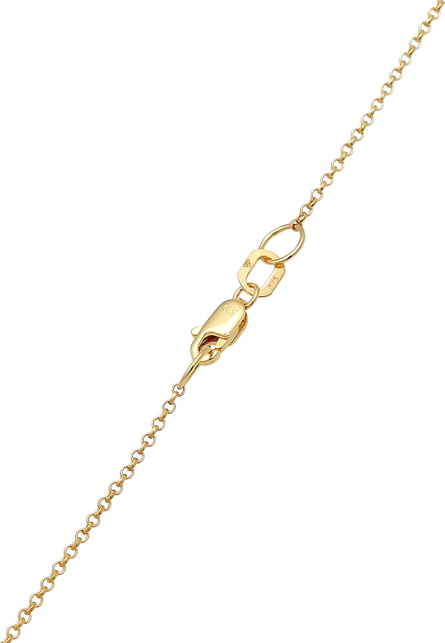 Elli Premium Kette mit Anhänger »Halskette Erbskette Geo Kreis Basic Coin 375 Gelbgold«