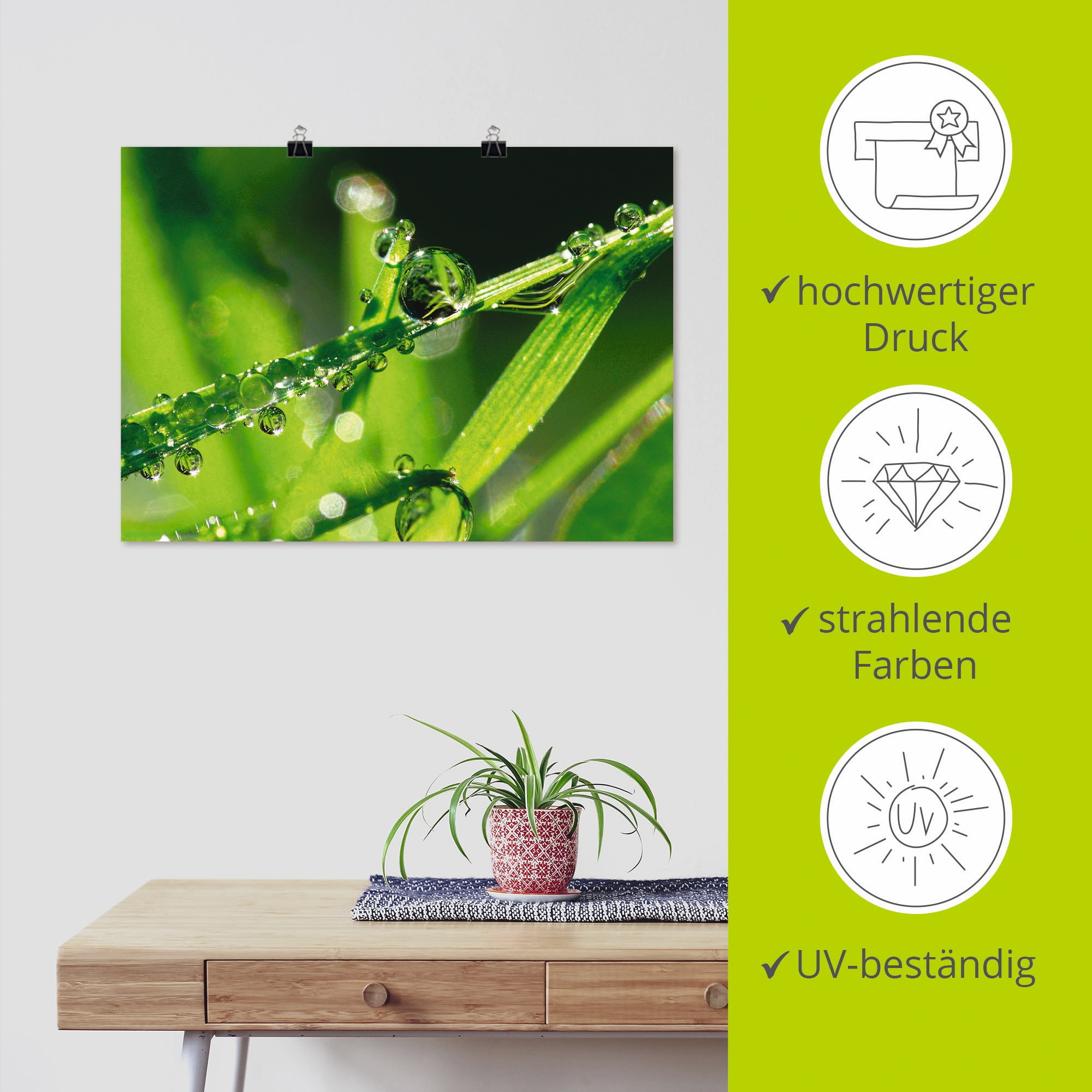 Artland Poster »Wassertropfen auf Gras«, Gräser, (1 St.), als Leinwandbild, Wandaufkleber oder Poster in versch. Größen