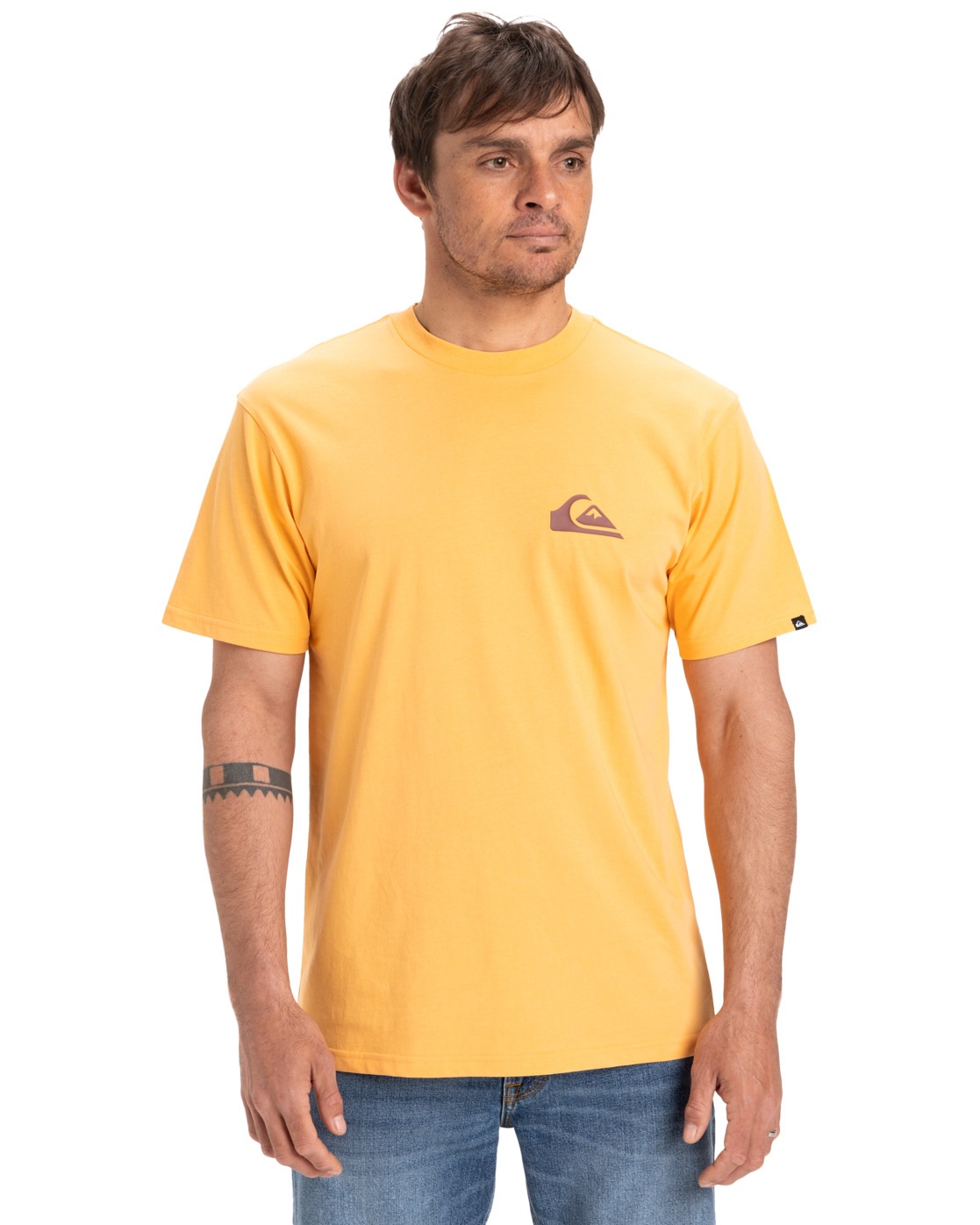 Quiksilver T-Shirt »Ev Mini Logo 2024«
