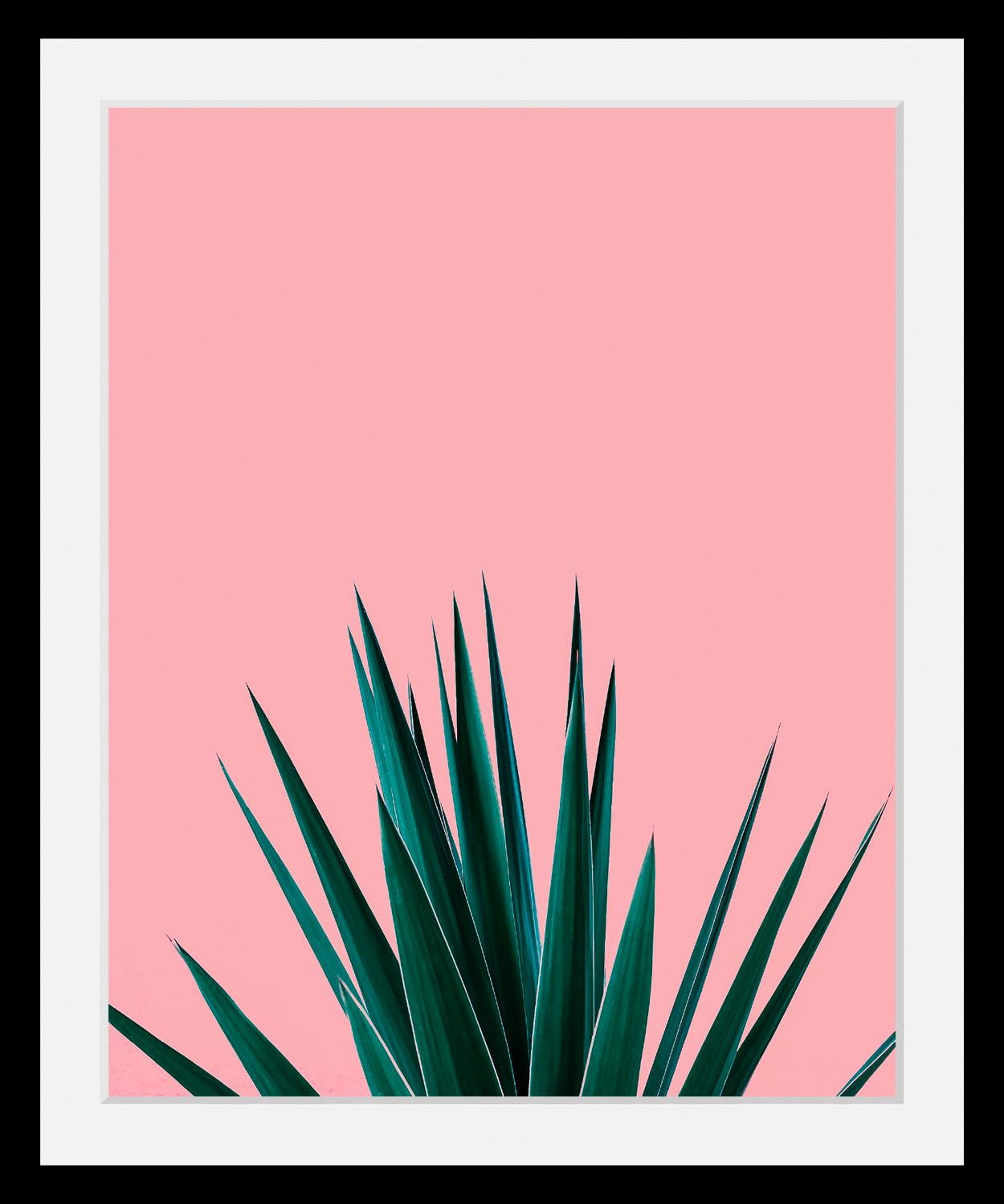 queence Bild »Palme«, Kunst-Pflanzen-Foto-Pflanzenbilder-Stechpalme, HD Premium Poster-Druck inkl. Holzrahmen