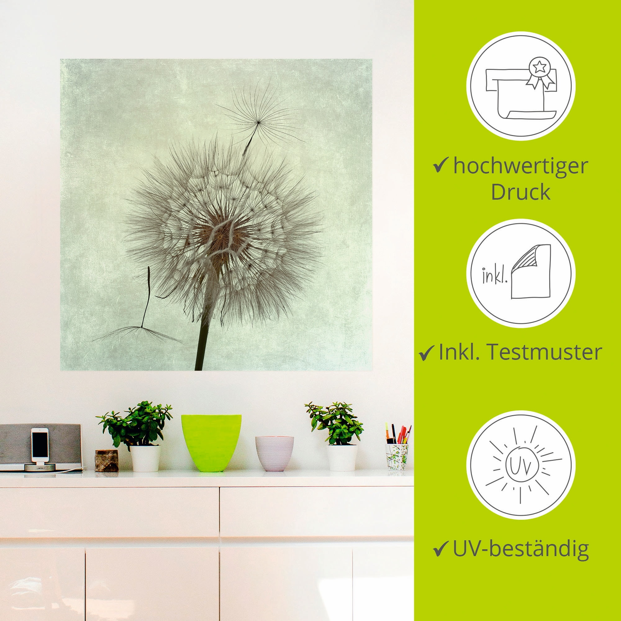 Artland Wandbild »Pusteblume II«, Blumen, (1 St.), als Leinwandbild, Poster, Wandaufkleber in verschied. Größen