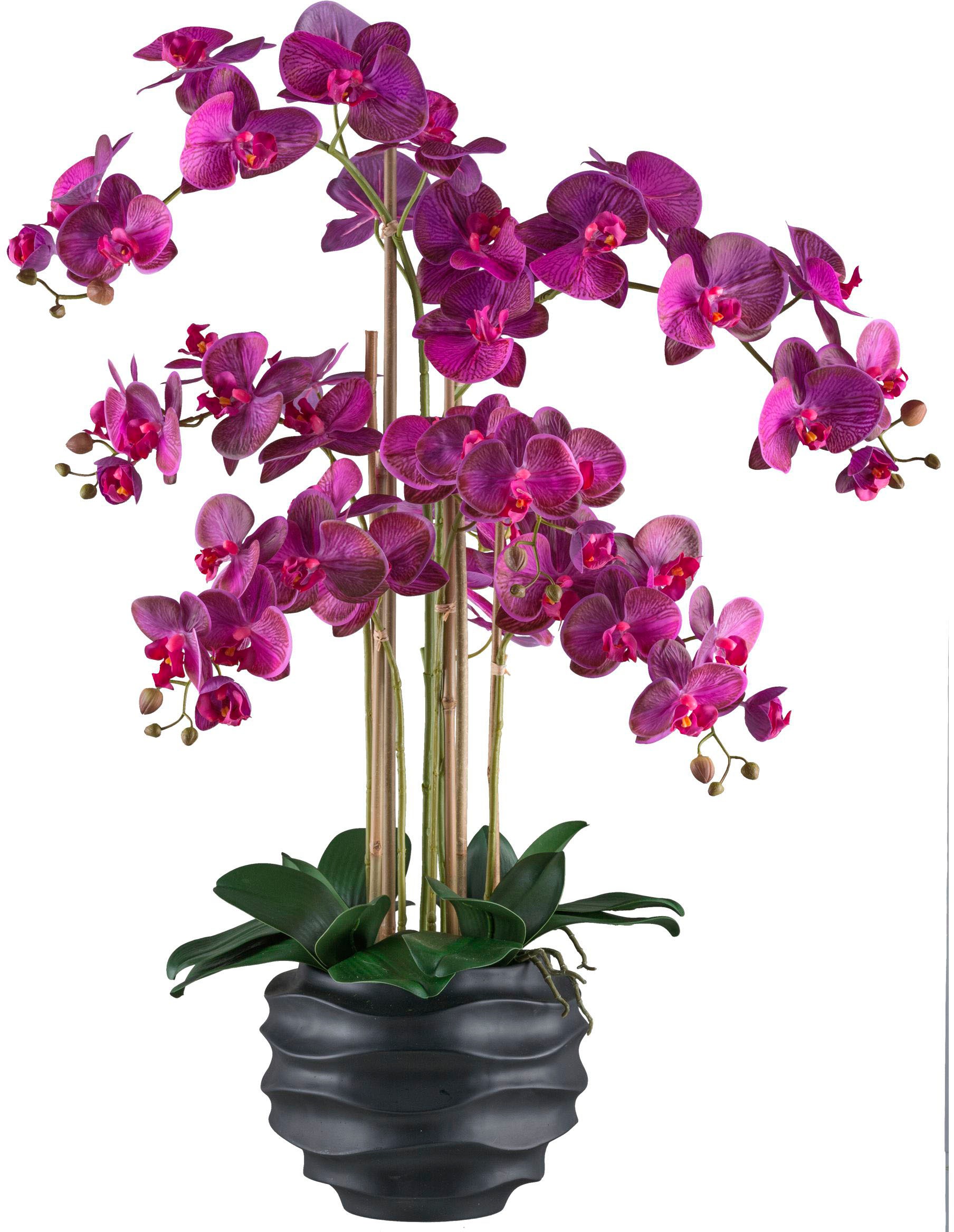 Creativ Green Kunstorchidee »Orchidee Phalaenopsis« im Design-Topf, Größe B/H/L: 90 cm