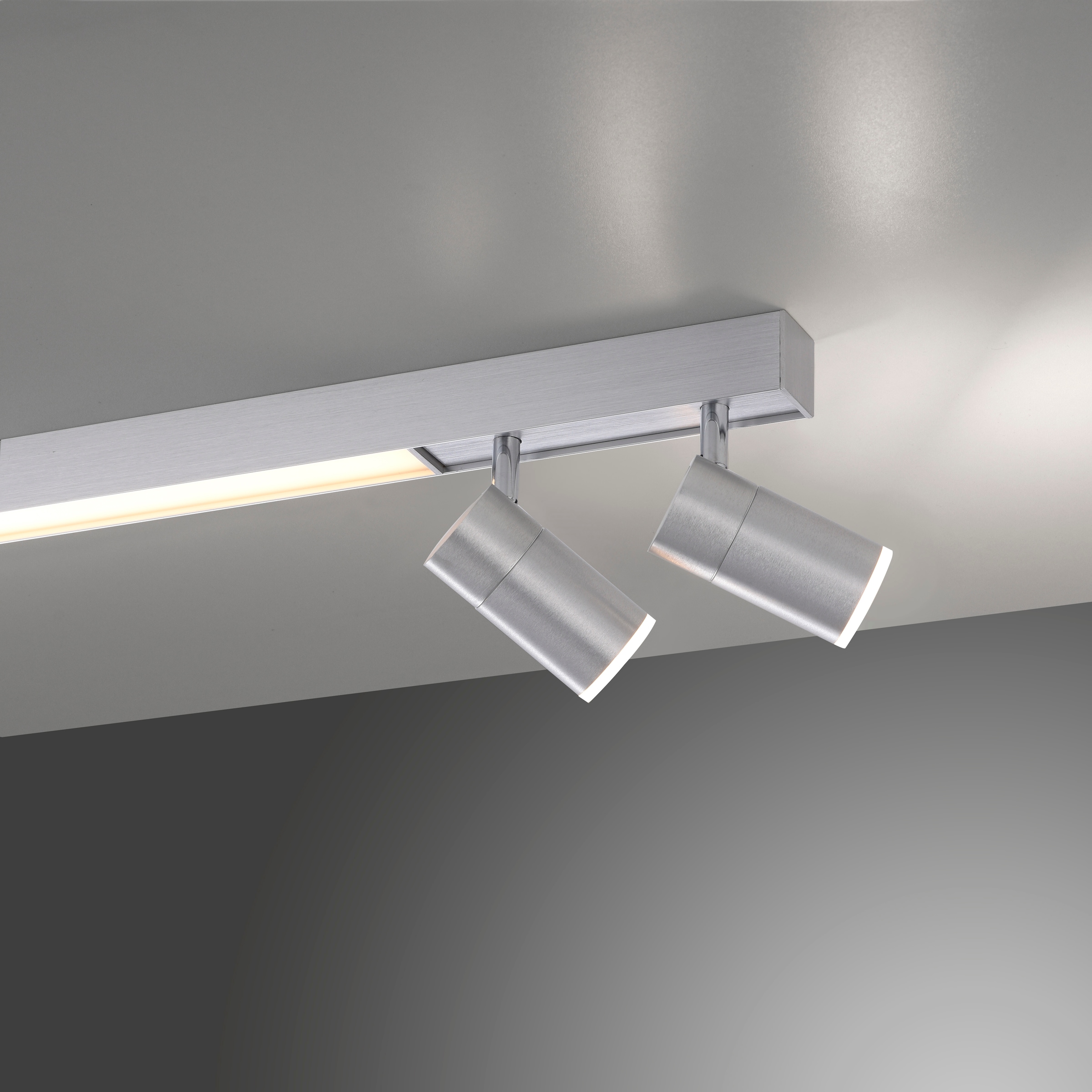 Neuhaus PURE LED Deckenleuchte »PURE Lines Spot« LED-Board 1 Stk. warmweiß - kaltweiß Spots dreh- & schwenkbar, CCT, dimmbar per Fernbedienung