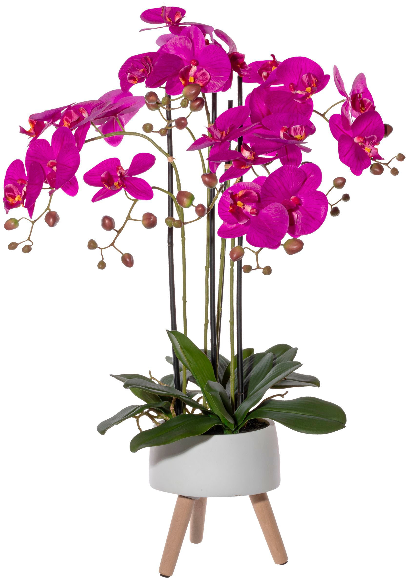 Kunstorchidee »Orchidee Phalaenopsis in Keramikschale«, mit Real-Touch-Blüten und auf...