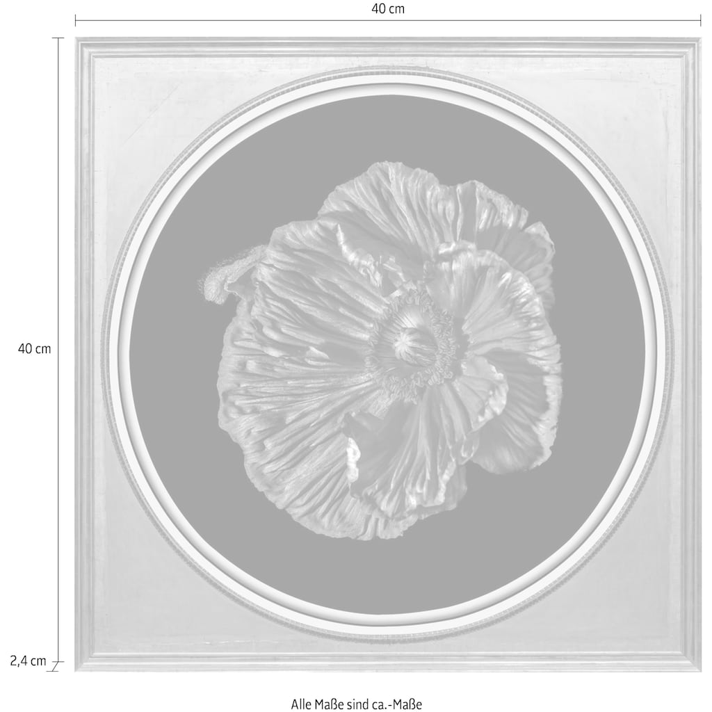 queence Acrylglasbild »Blume«