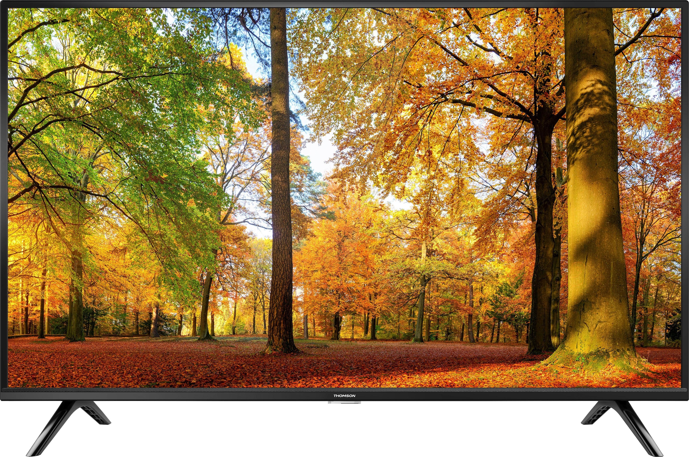 Thomson LED-Fernseher, 80 cm/32 Zoll, HD ready