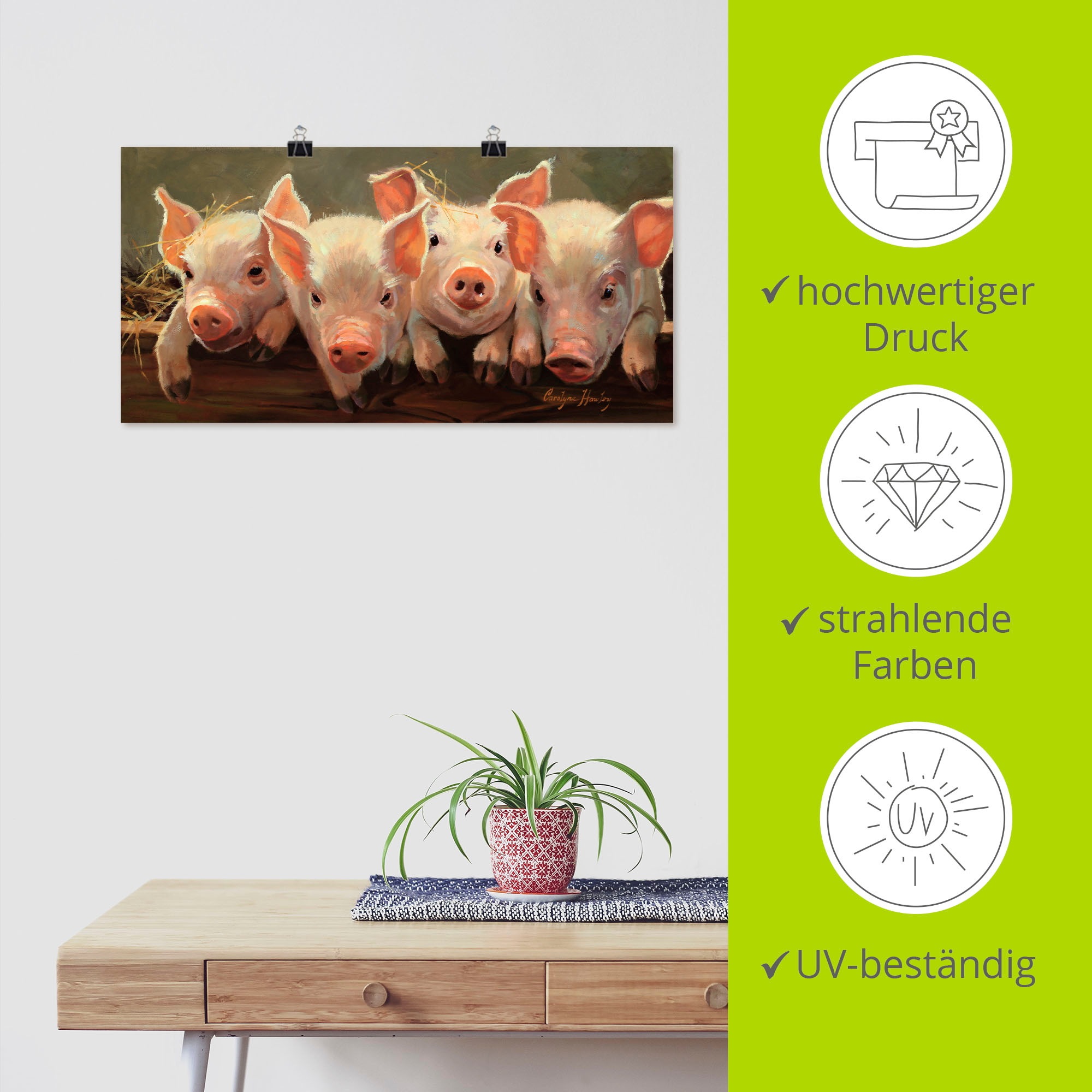 Artland Wandbild »Das große Grunzen« Haustiere 1 Stk. tlg. als Alubild, Outdoorbild, Leinwandbild, Poster in verschied. Größen