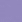 aster purple