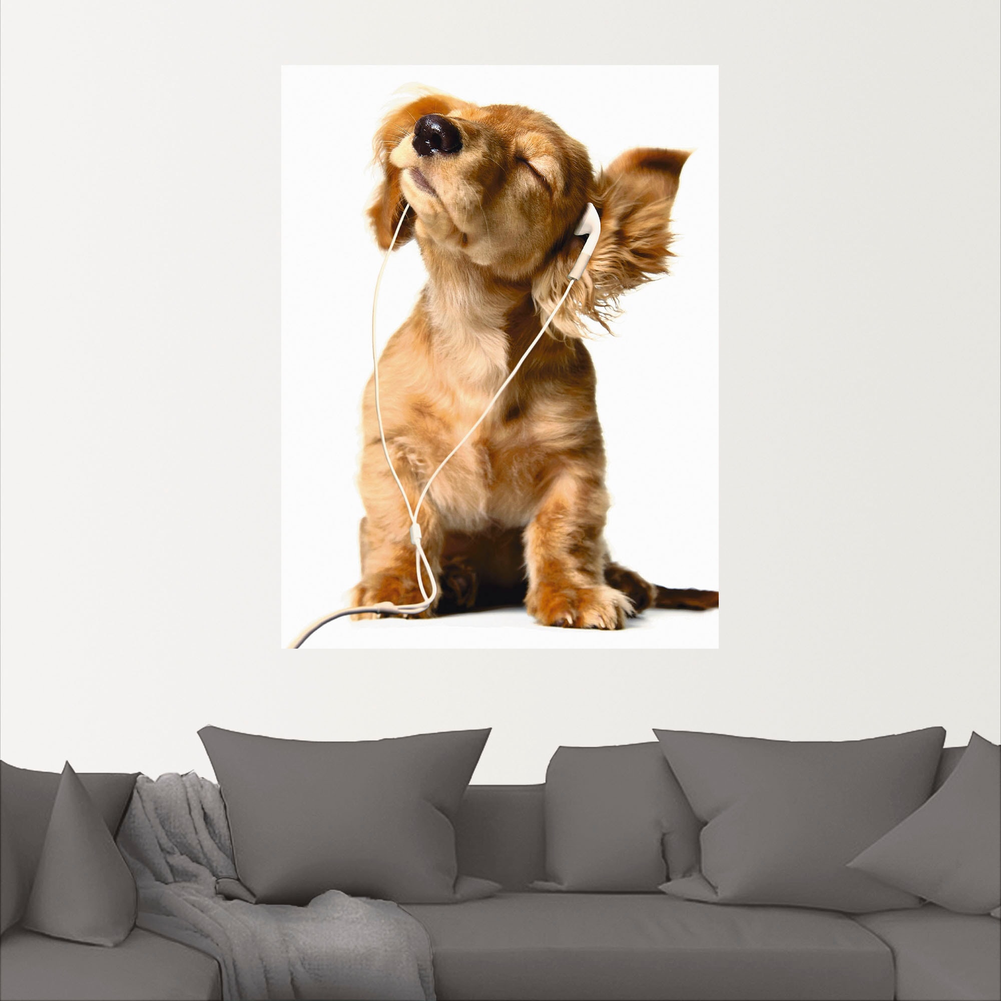Artland Wandbild »Junger Hund hört Musik über Kopfhörer«, Haustiere, (1 St.), als Leinwandbild, Poster, Wandaufkleber in verschied. Größen