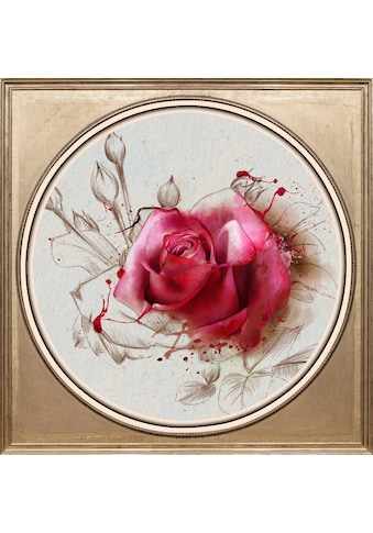queence Acrylglasbild »Rose« kaufen