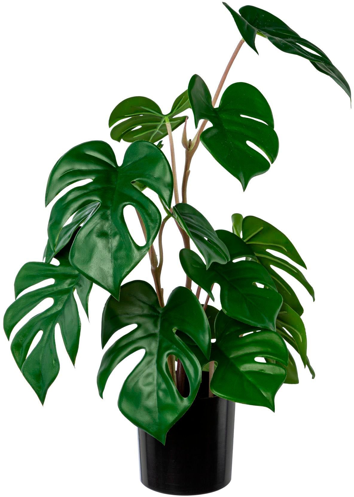 Creativ green Künstliche Zimmerpflanze »Split-Philodendron-Pflanze«