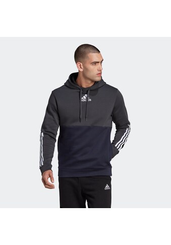adidas Sportswear Sweatshirt »ESSENTIALS COLORBLOCK FLEECE HOODIE« kaufen