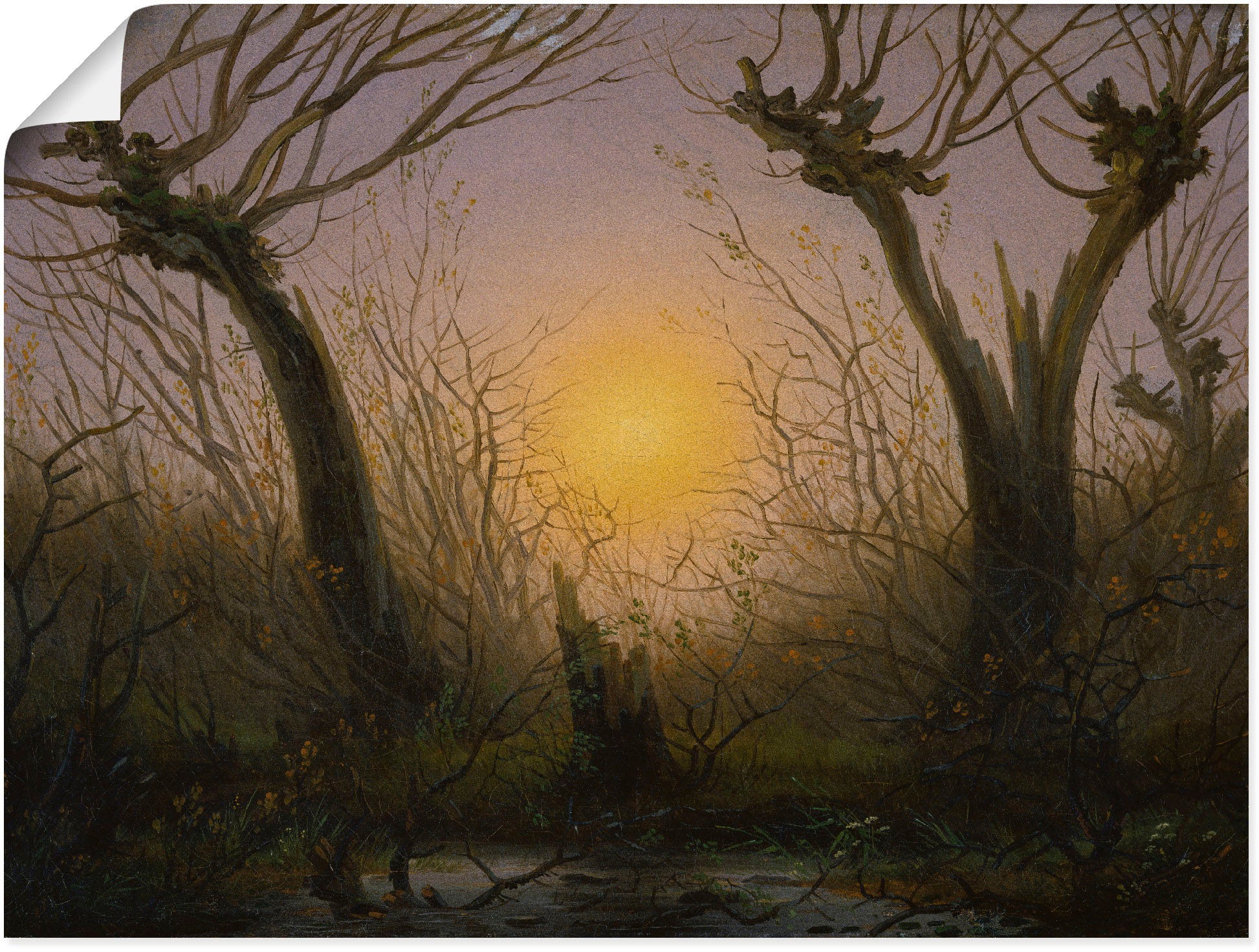 Artland Wandbild »Weidengebüsch bei tiefstehender Sonne.«, Sonnenaufgang & -untergang, (1 St.), in vielen Größen & Produktarten -Leinwandbild, Poster, Wandaufkleber / Wandtattoo auch für Badezimmer geeignet