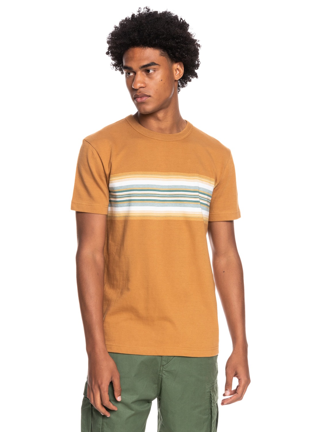 Quiksilver T-Shirt »Transat Placement«
