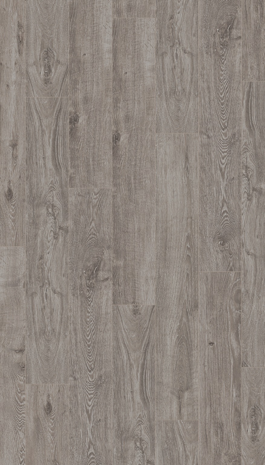 PARADOR Laminat »Basic 200 - Eiche Lichtgrau«, (Packung), Kantenimprägnierung, 1285 x 194 mm, Stärke: 7 mm
