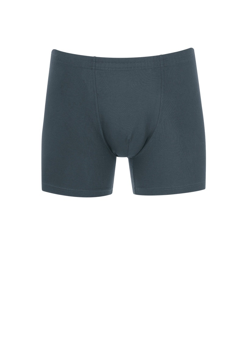 Trigema Herren Boxer »TRIGEMA Herren Pant in bequemer Stretch-Qualität« 1 Stk. tlg. in grau, Größe L