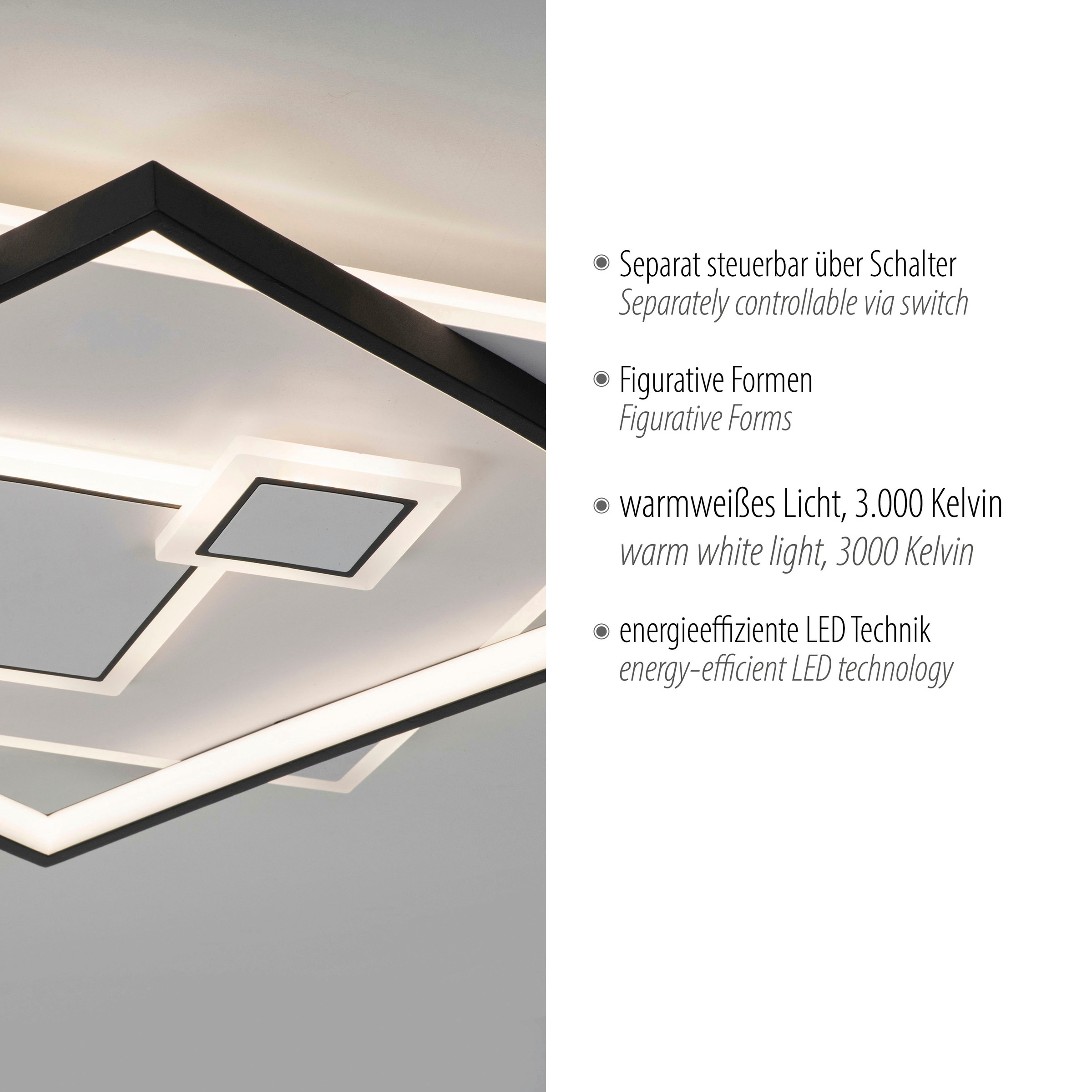 Paul Neuhaus Deckenleuchte »MAILAK«, 2 flammig, Leuchtmittel LED-Board-LED-Board | LED fest integriert-LED fest integriert, LED, separat steuerbar (Schalter)