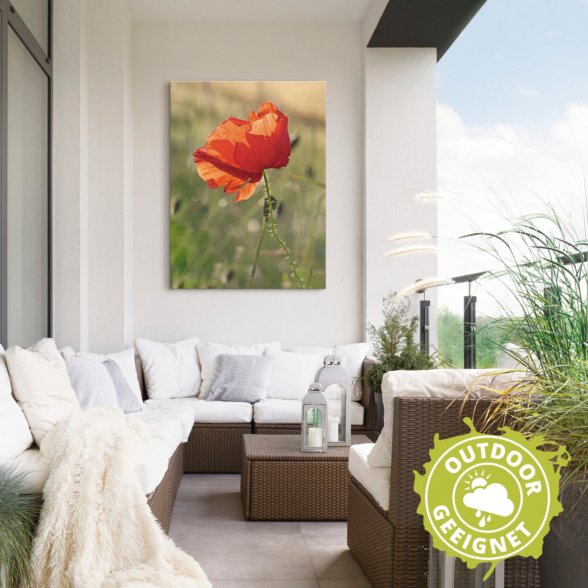 Artland Wandbild »Mohnblume«, Blumen, (1 St.), als Alubild, Outdoorbild in verschied. Größen