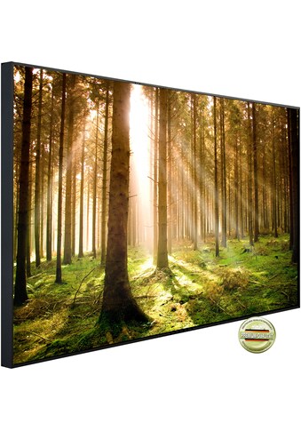 Papermoon Infrarotheizung »EcoHeat - Autumn Pine Forest«, Aluminium, 750 W, 60 x 120... kaufen
