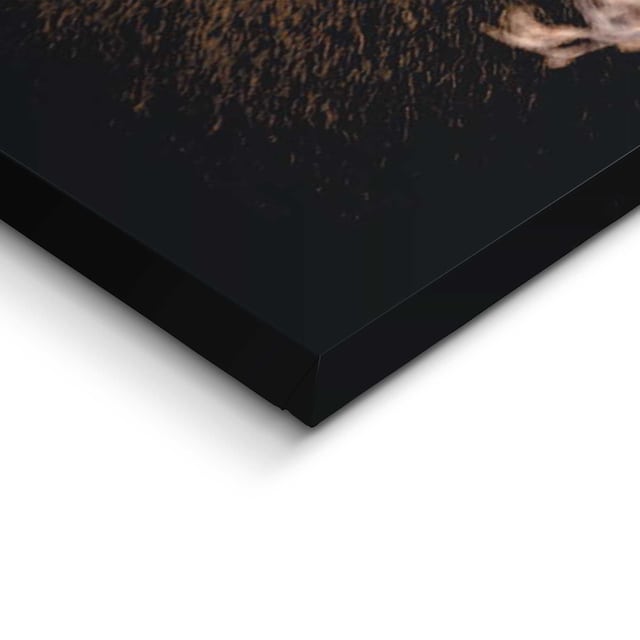 Reinders! Deco-Panel »Hirsch im Wald«, 118/70 cm online bei OTTO