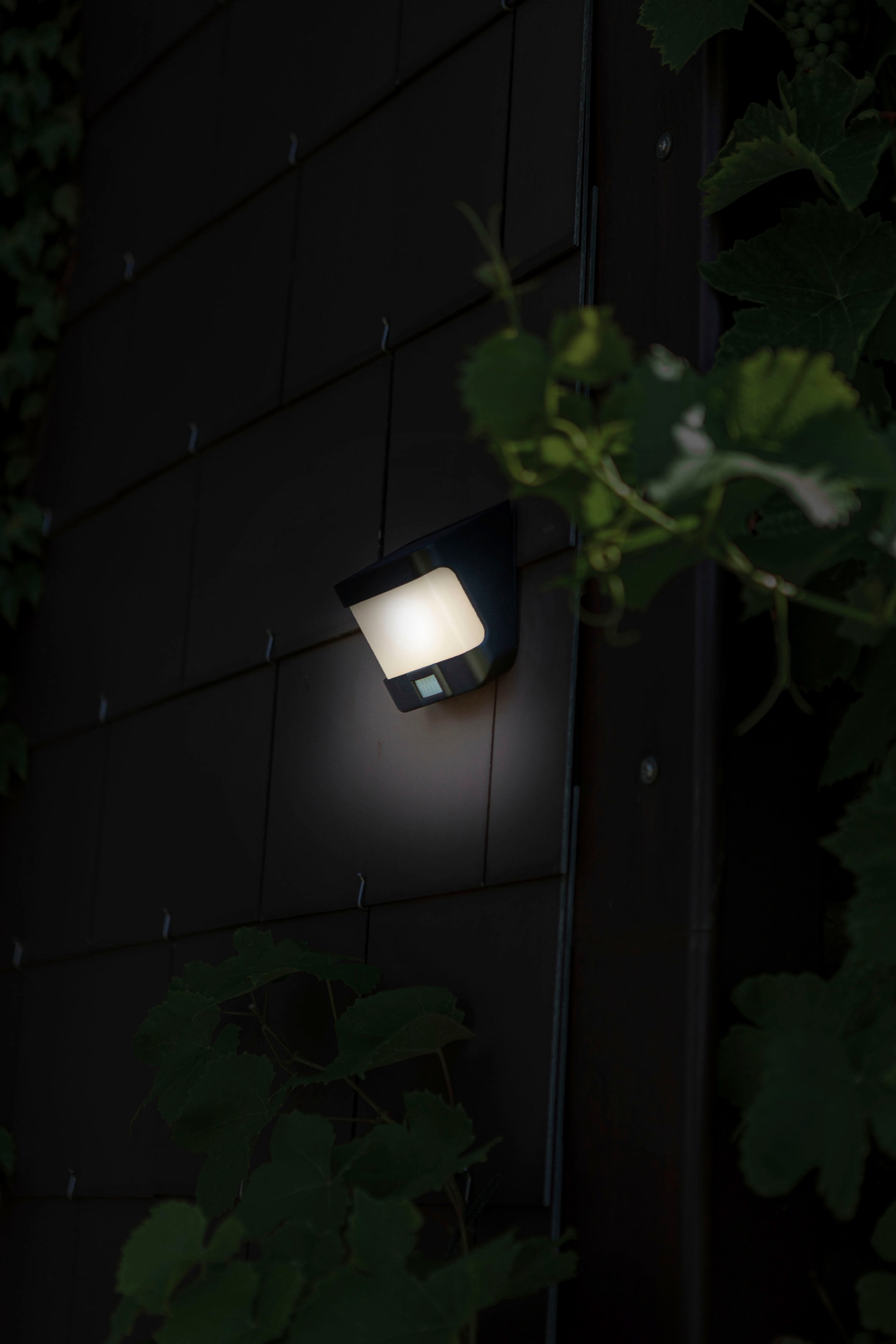 LUTEC LED Solarleuchte »TRY« bei OTTO
