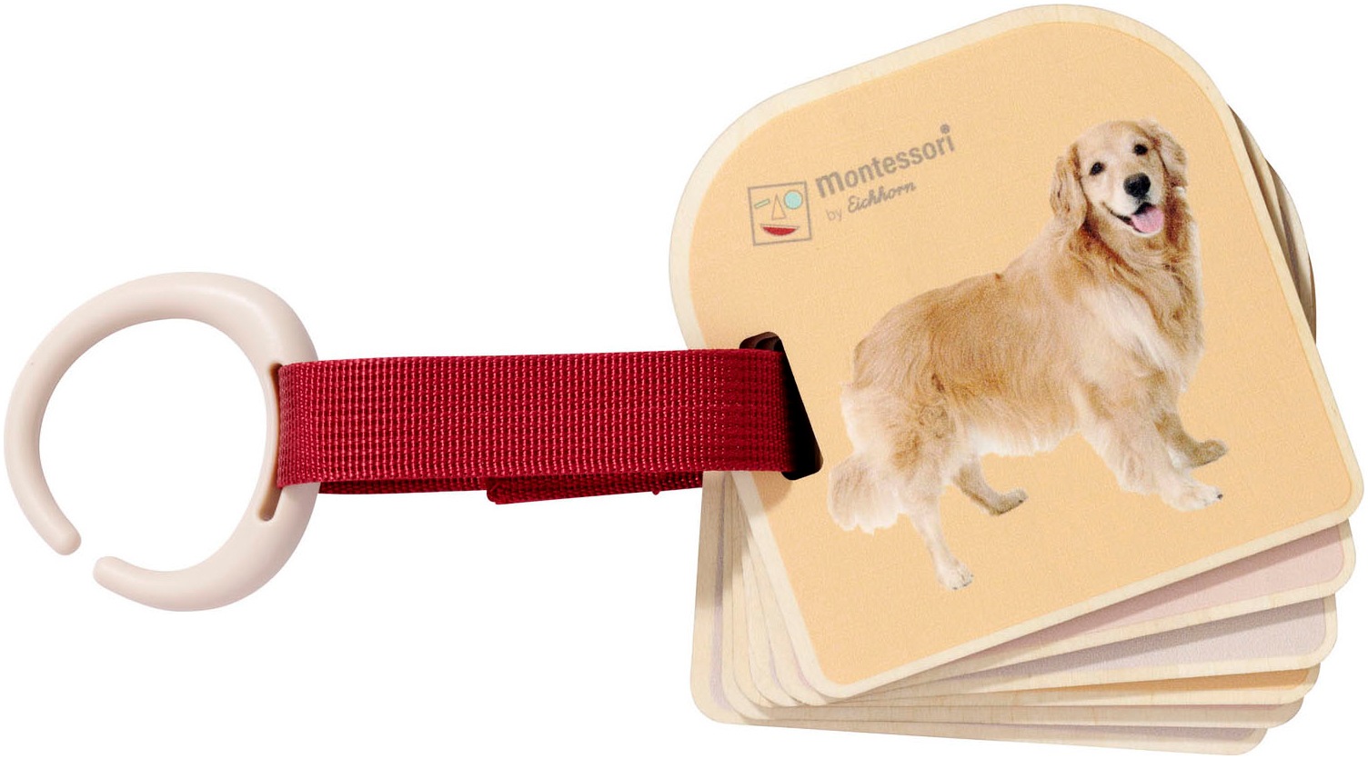 Eichhorn Bilderbuch »Montessori Bilderbuch«, FSC®- schützt Wald - weltweit