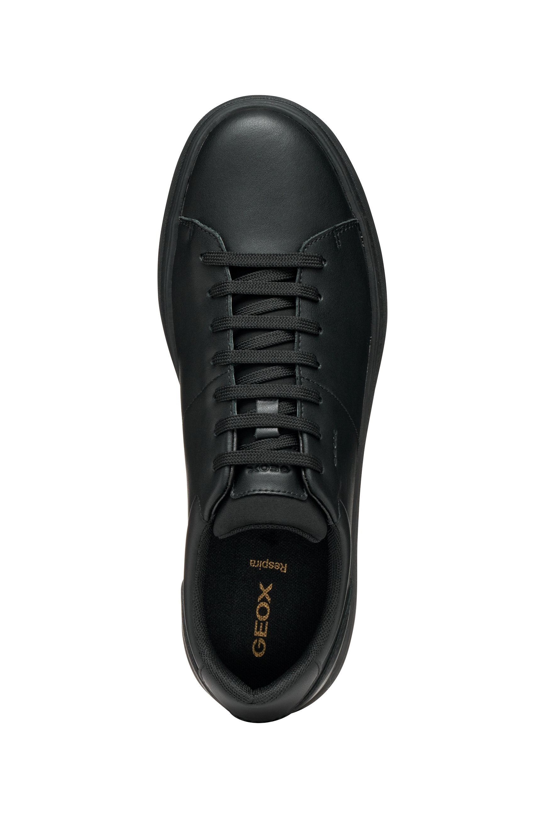 Geox Sneaker »U BALTMOORE«  Schnürschuh im Monochrome Look, Größenschablone zum Download