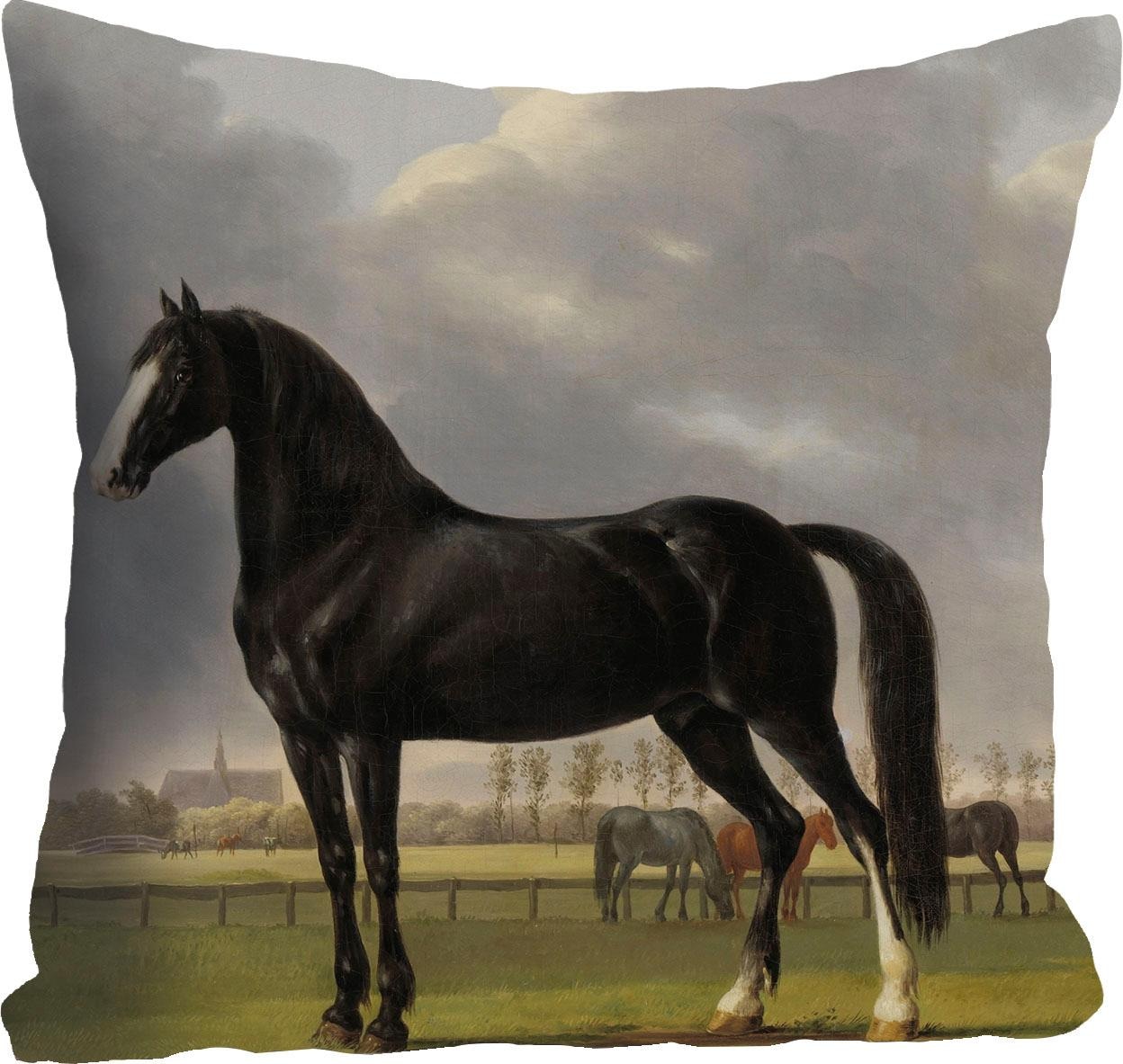 queence Dekokissen »»Pferde«« Kissenhülle ohne Füllung, 1 Stück