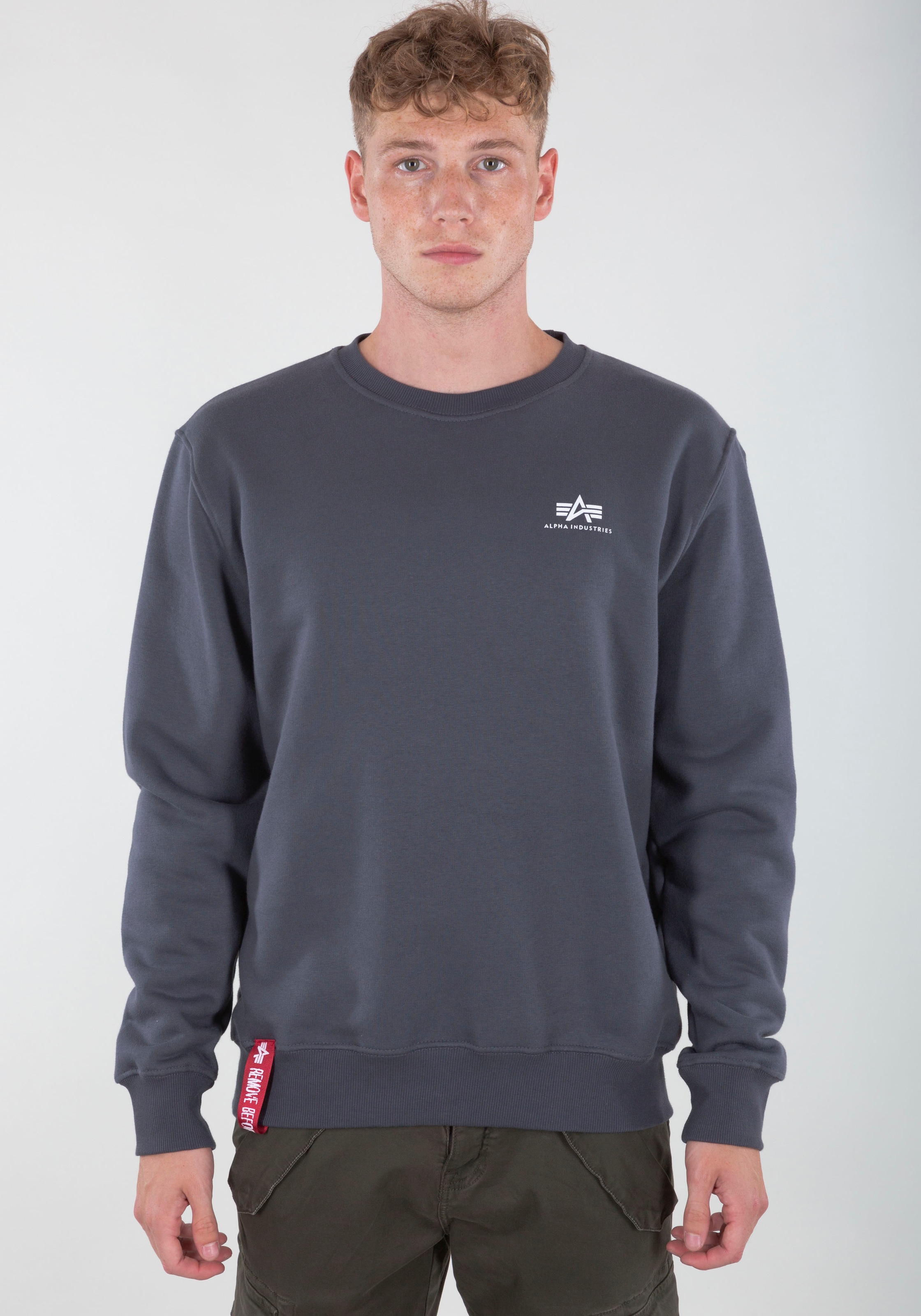 Alpha Industries Sweatshirt »Basic Sweater small Logo«, Baumwollmischung, regular fit
