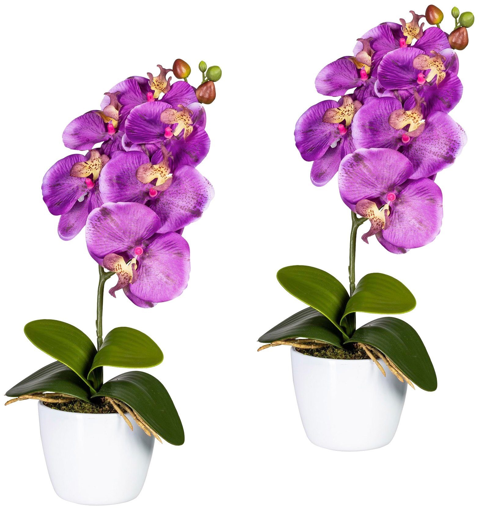 Creativ green Kunstpflanze »Orchidee Phalaenopsis« im Keramiktopf