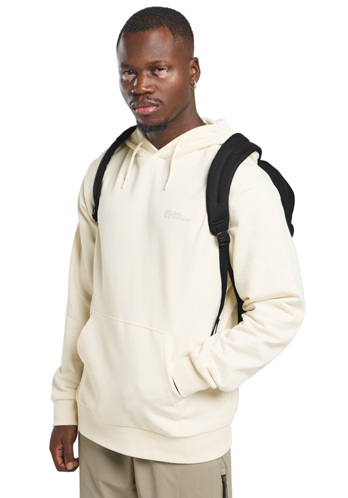 Jack Wolfskin Cityrucksack »TERRAVIEW« mit Laptopfach
