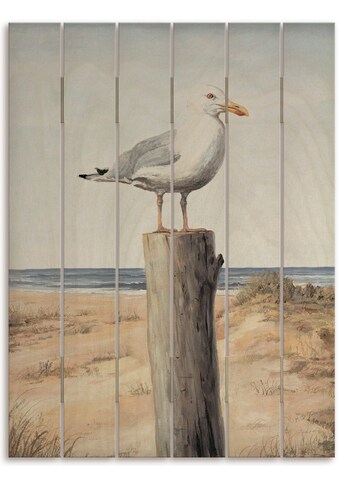 Artland Holzbild »Möwe«, Vogelbilder, (1 St.) kaufen