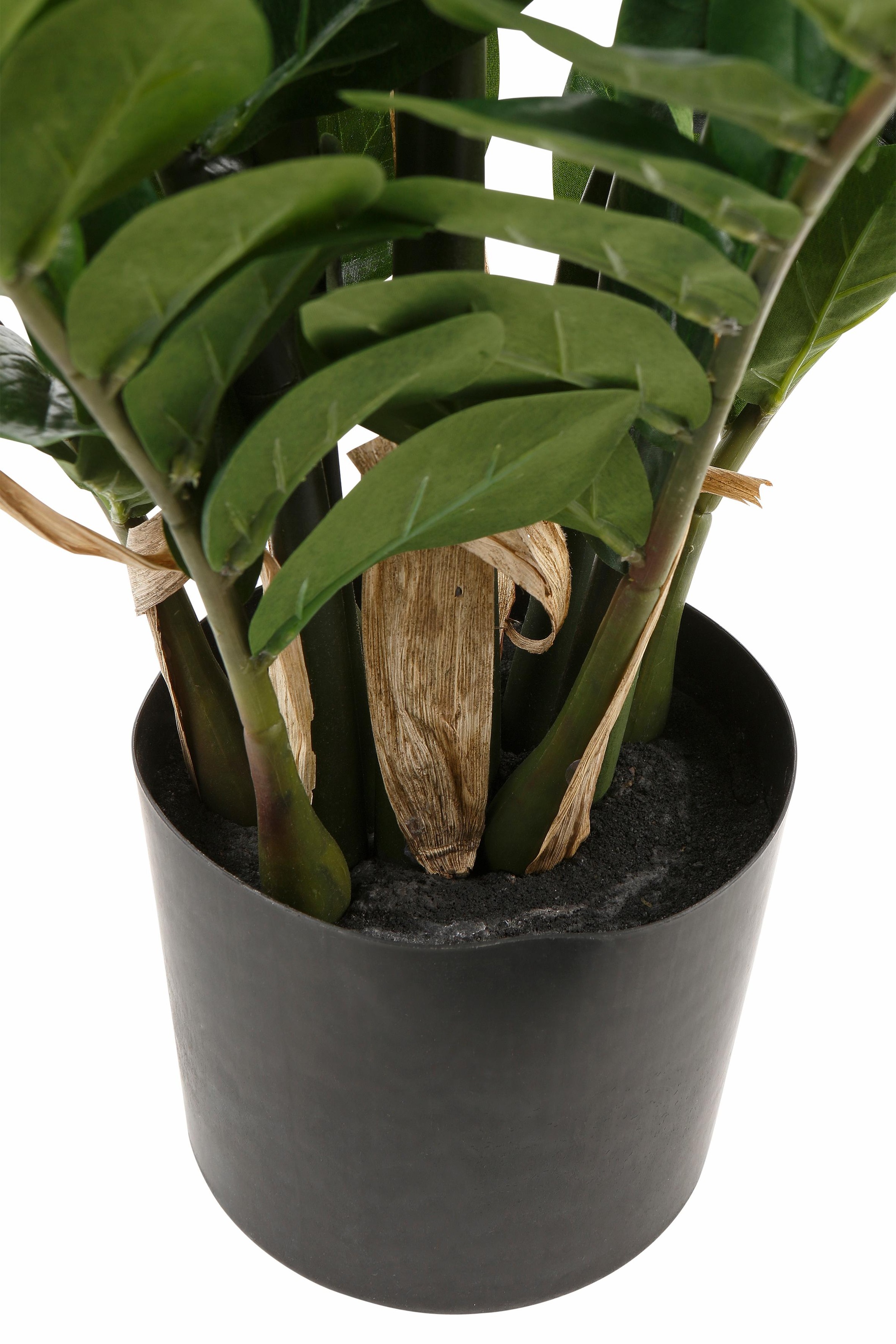 Creativ green Kunstpflanze »Zamifolia«