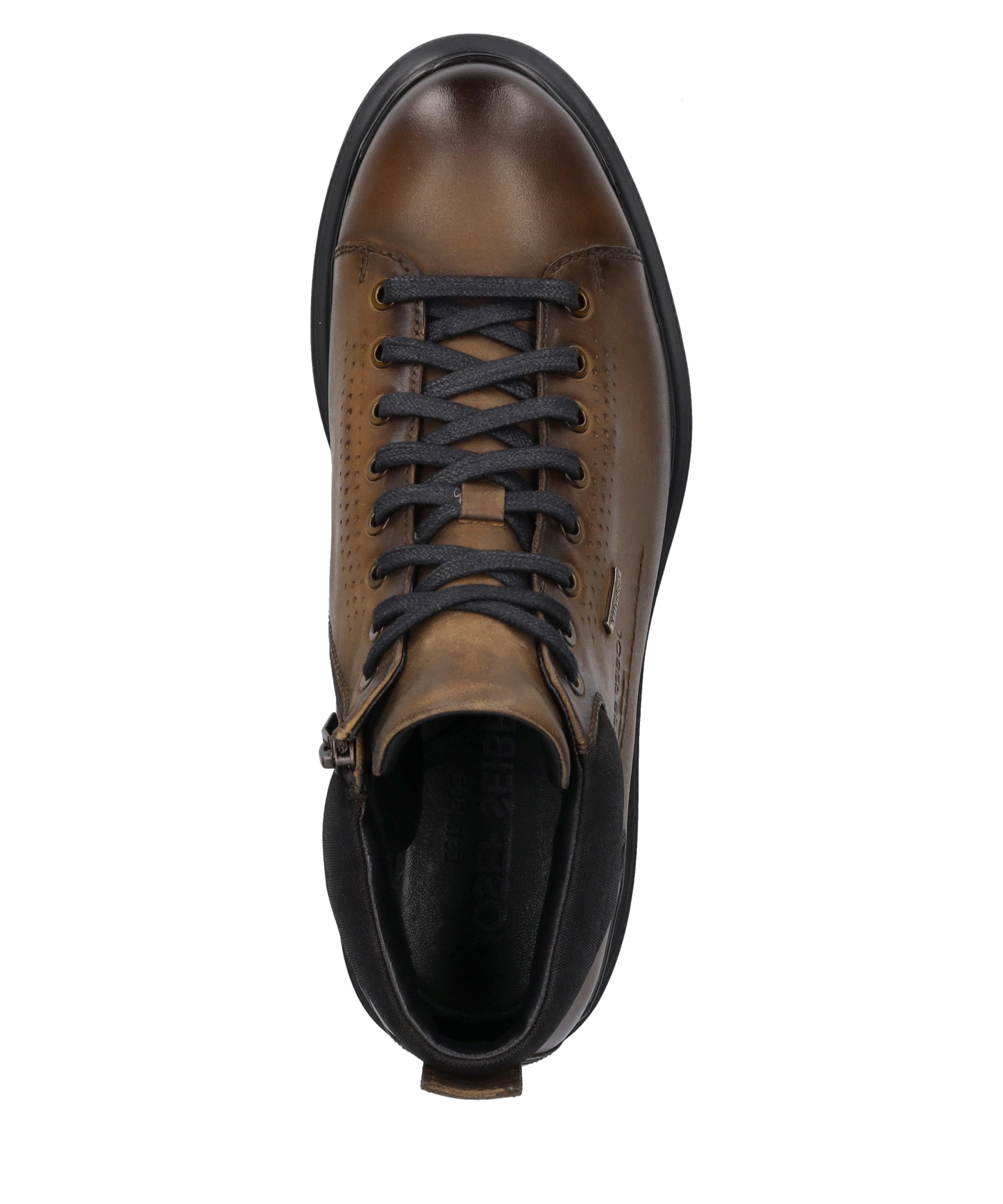 Josef Seibel Schnürschuh »Dalton 52, castagne«