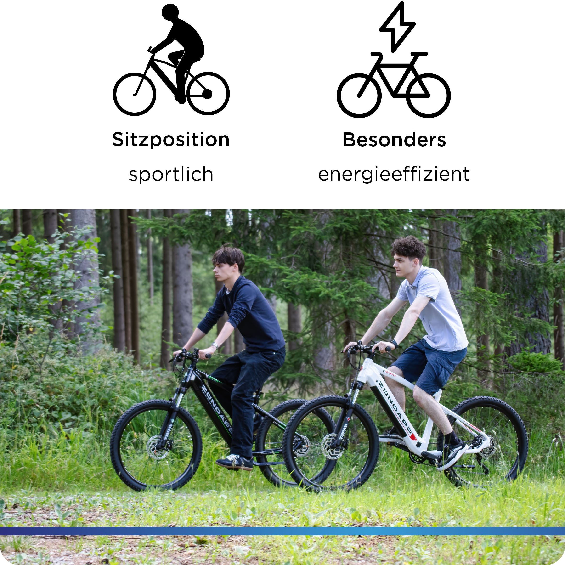 Zündapp E-Bike »Z898«, 10 Gang, Heckmotor 250 W, E-Bike E Mountainbike 27,5 Zoll Pedelec 170 - 190 cm Hardtail MTB