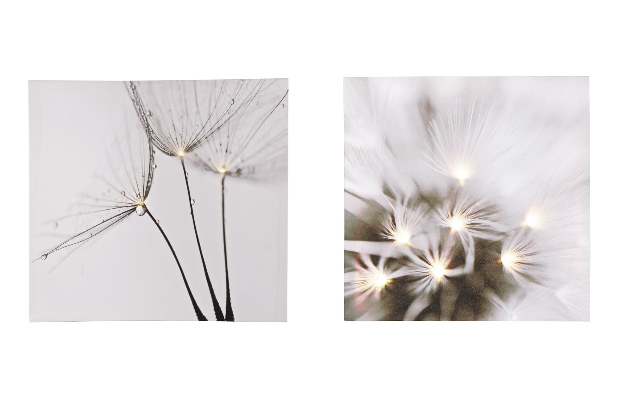 LED Bild Pusteblume, 2er-Set