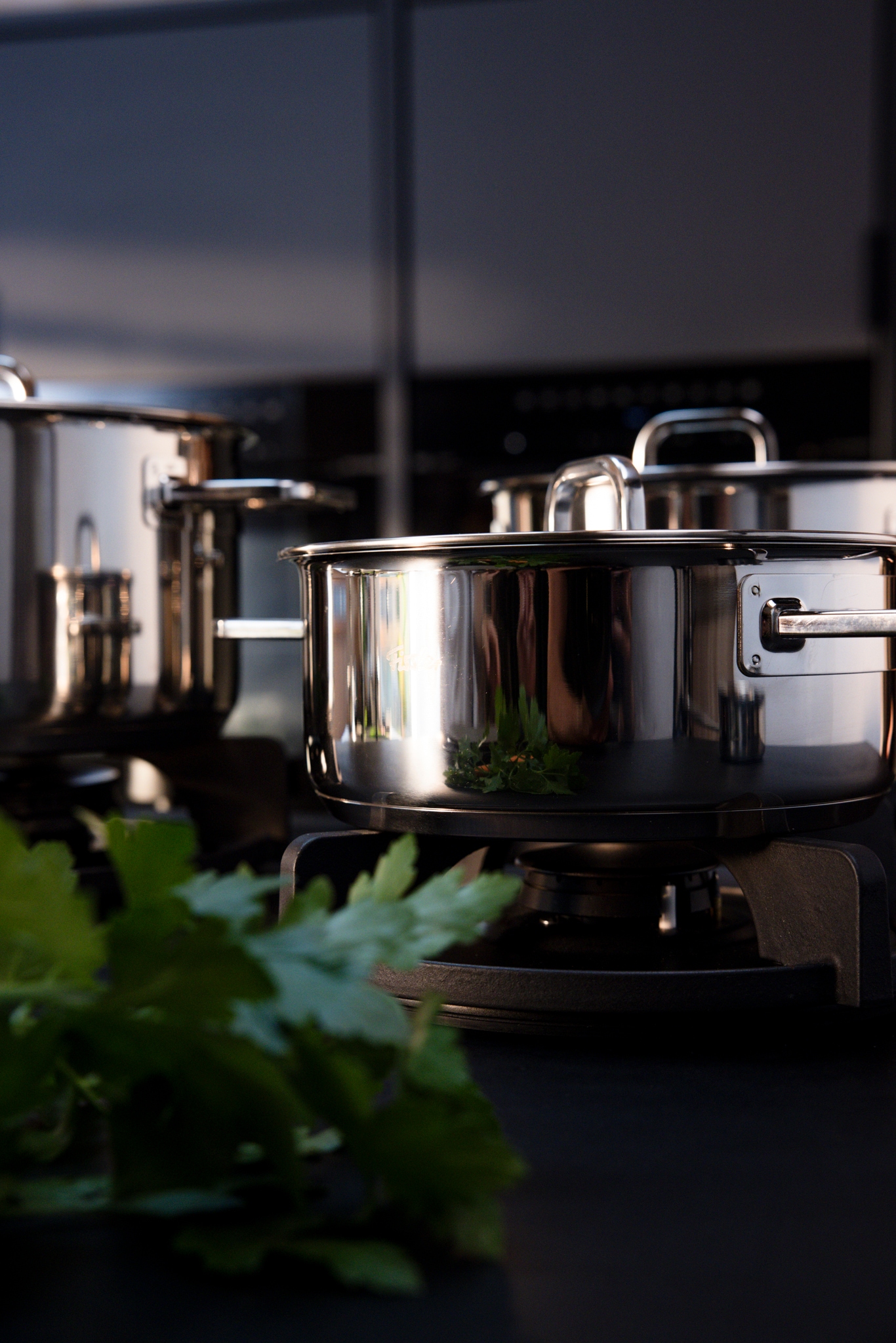 Fissler Kochtopf »Viseo® Pro« 1 tlg. Edelstahl 18/10