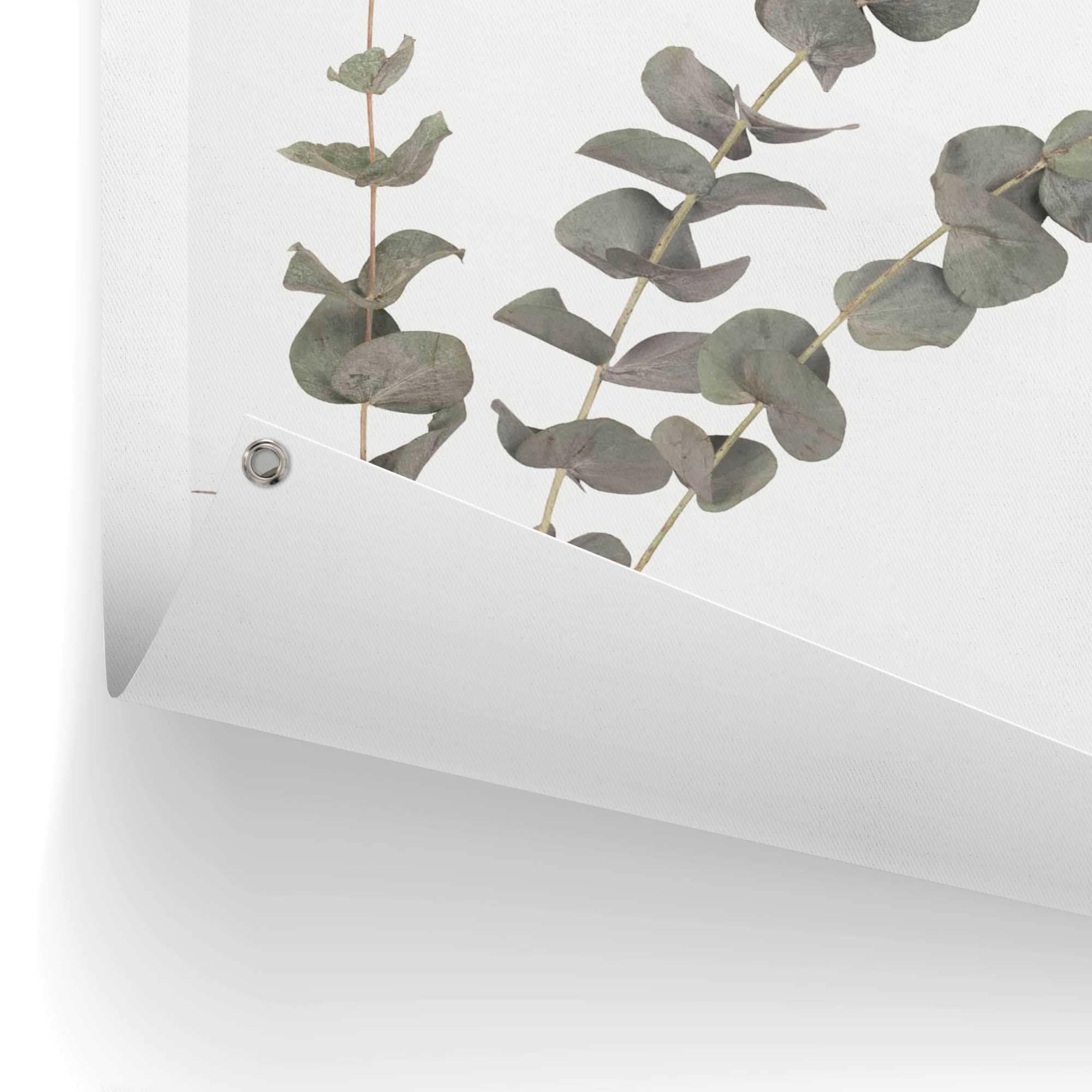 Reinders! Poster »Eukalyptus«, Outdoor für Garten oder Balkon