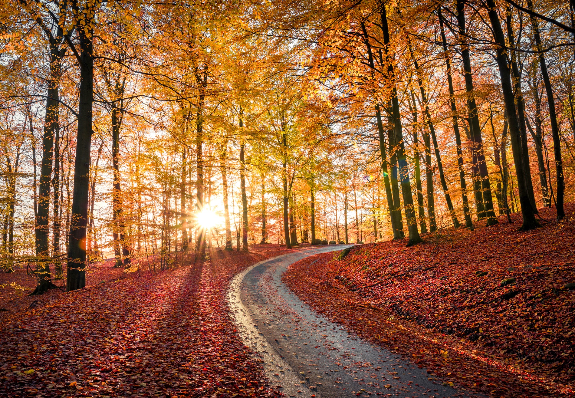 Fototapete »CHRISTIAN LINDSTEN, STRAßE IN SAPTERAYSEN NATIONALPARK, SCHWEDEN«