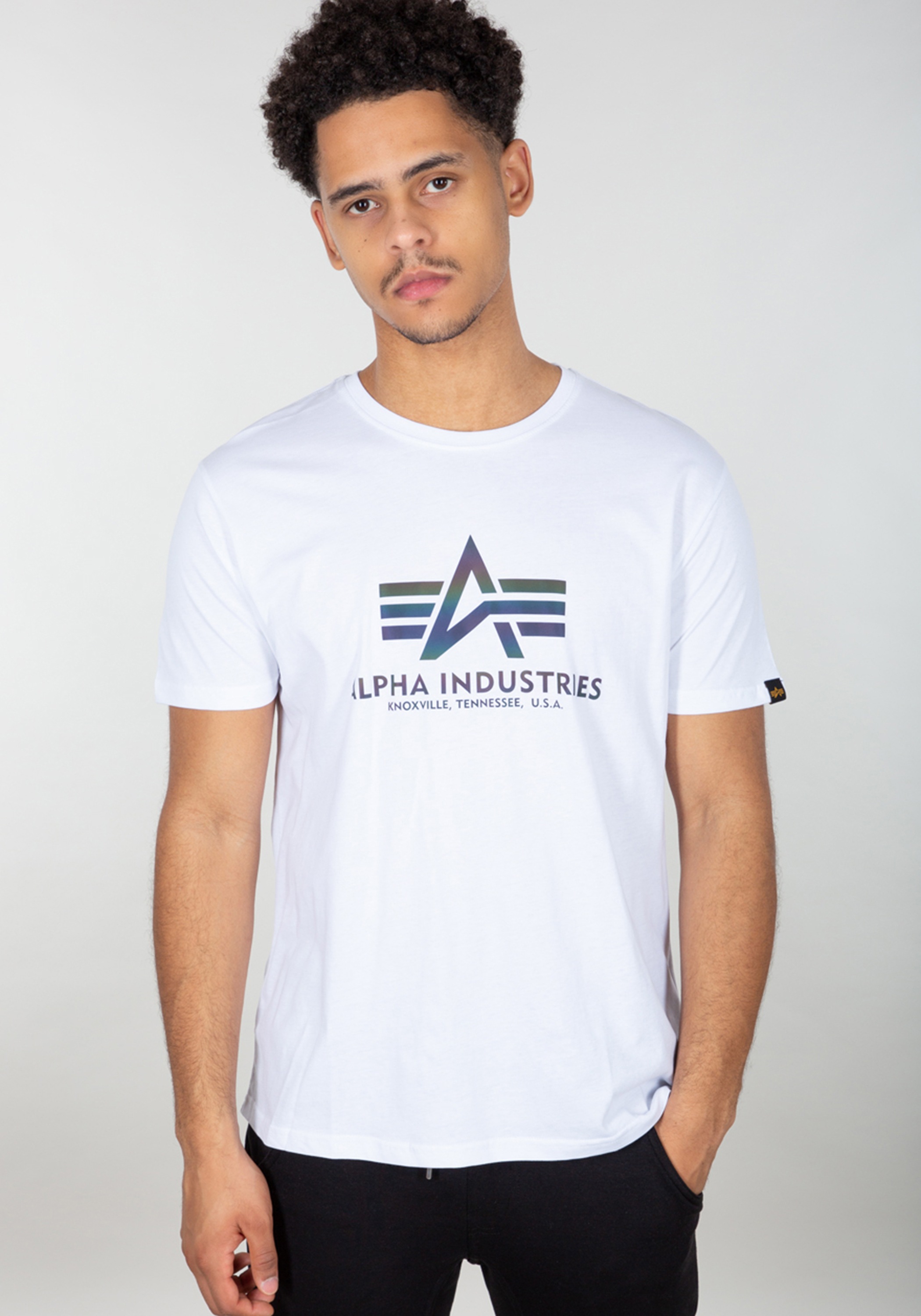 Alpha Industries T-Shirt »Basic T-Shirt BL Rainbow Ref. T-Shirt«