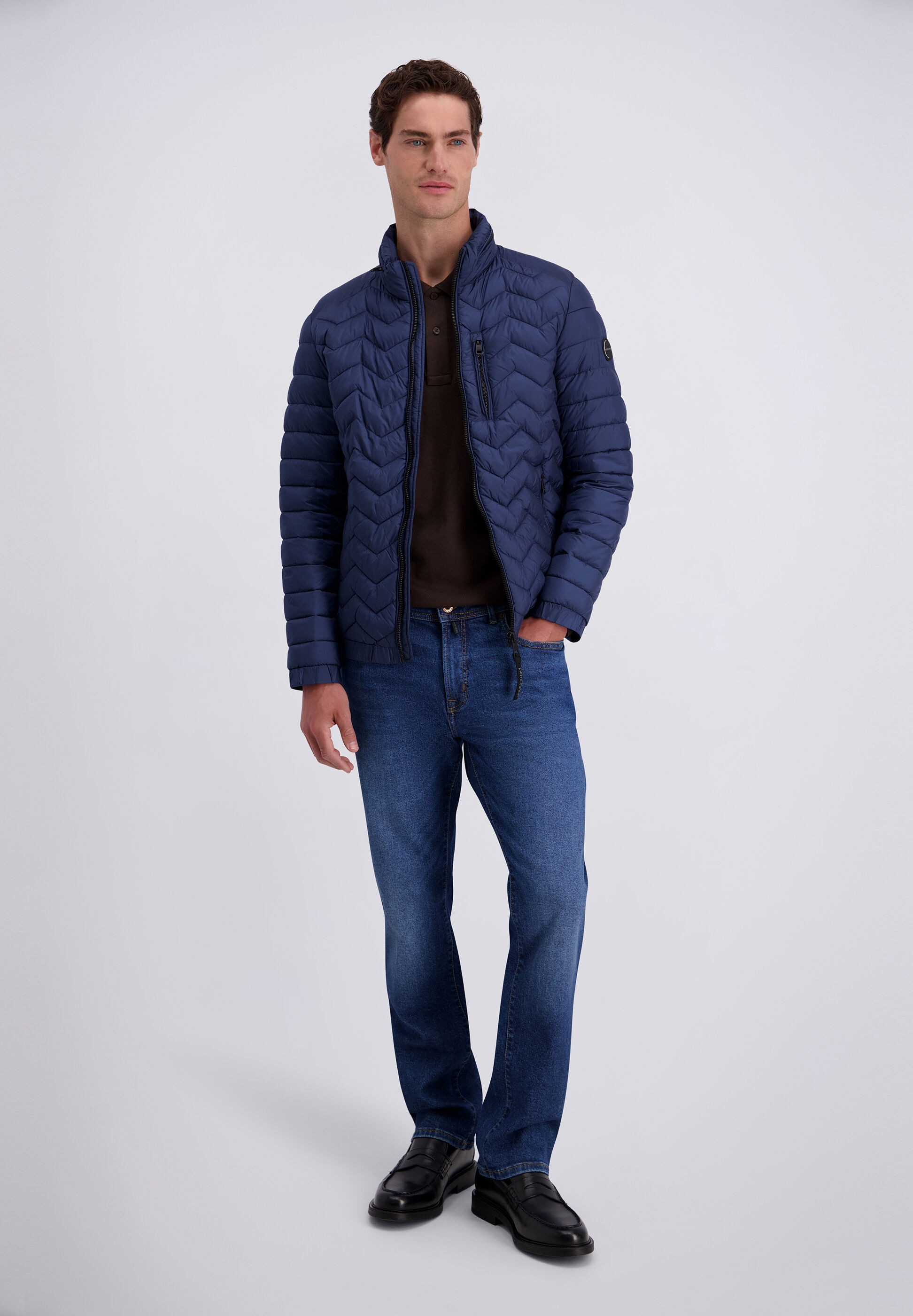 Pierre Cardin Winterjacke »Pierre Cardin Jacke« ohne Kapuze mit leichter Wattierung