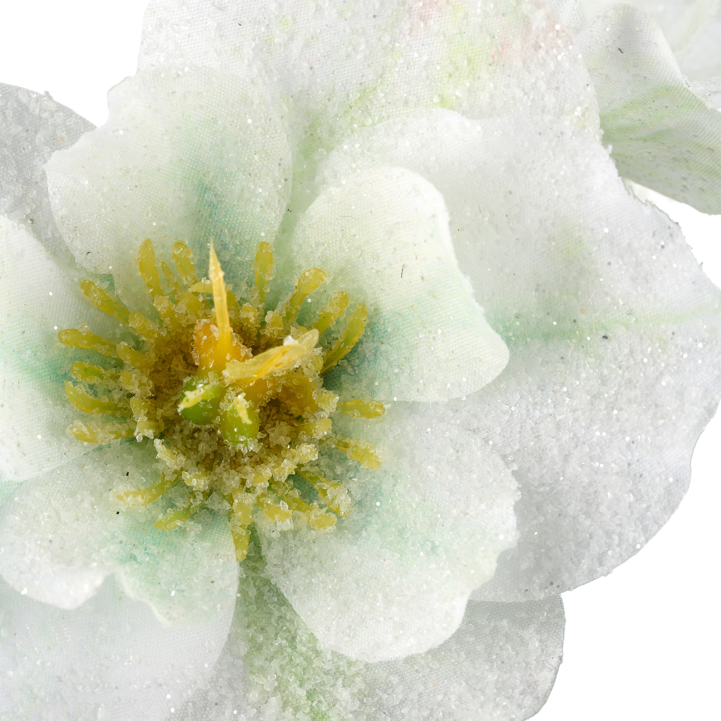 OTTO home Winterliche Kunstpflanze »Set aus Mini-Weihnachtspflanzen« mit Frost-Finish