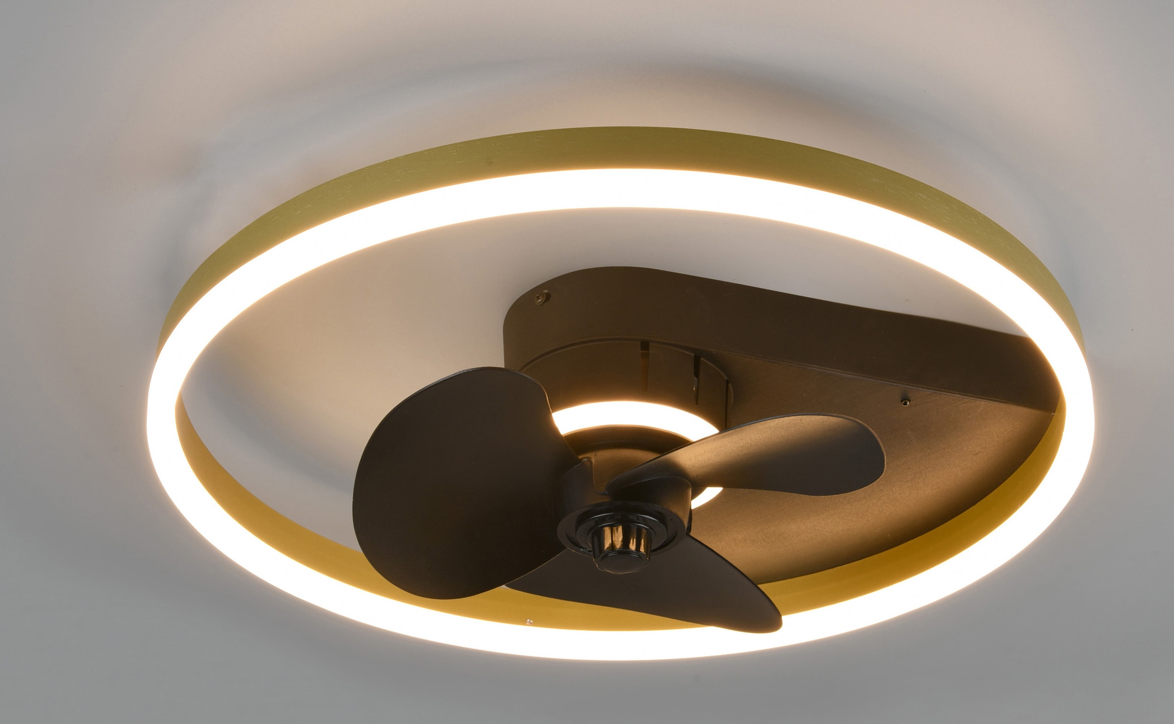 und schaltbar Ventilator, Nachtlicht. OTTO Leuchte kaufen mit bei und online TRIO getrennt »Borgholm«, Fernbedienung, Leuchten LED Ventilator integrierter Dimmer Deckenleuchte