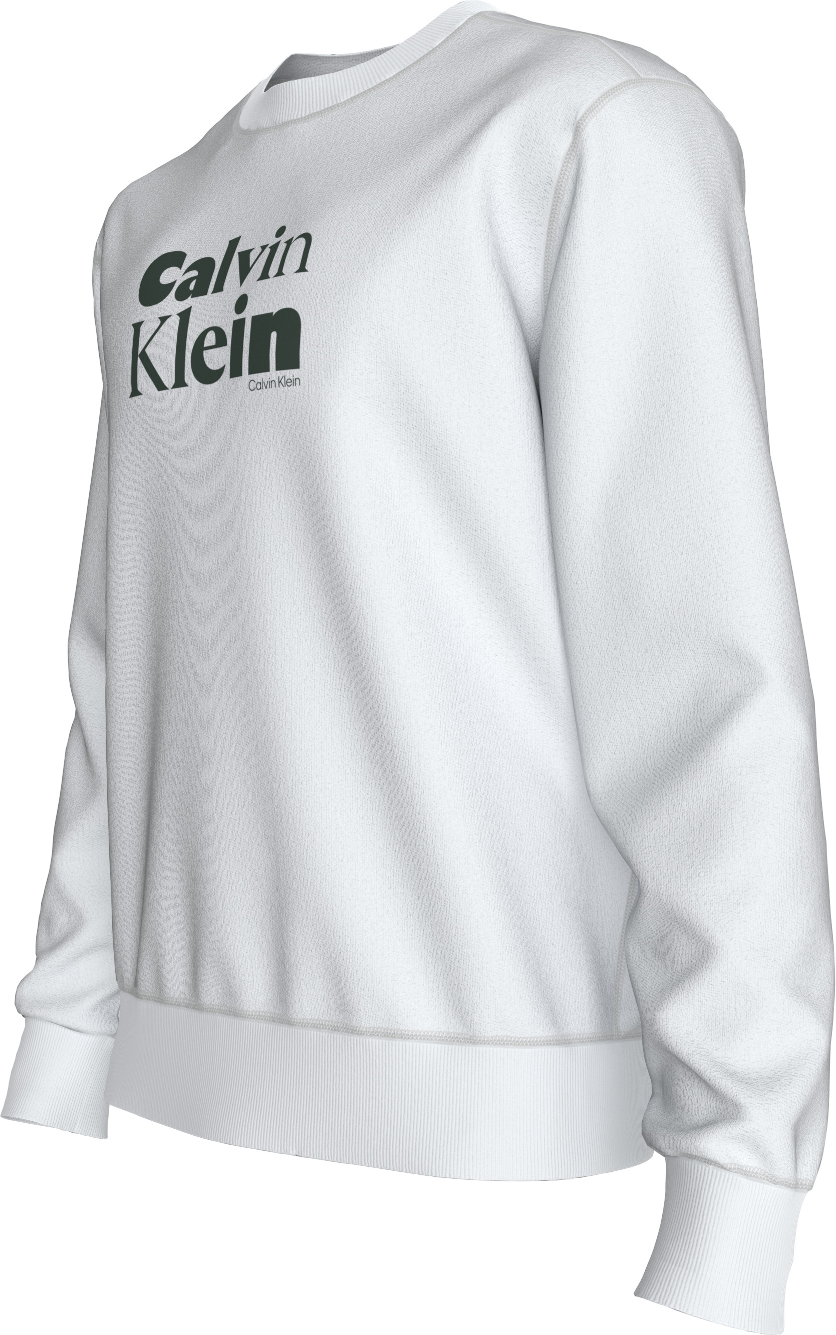 Calvin Klein Sweatshirt »LS EU 350TERRY CALVIN BOLD GRAPH«, Rundhalsausschnitt, regular fit