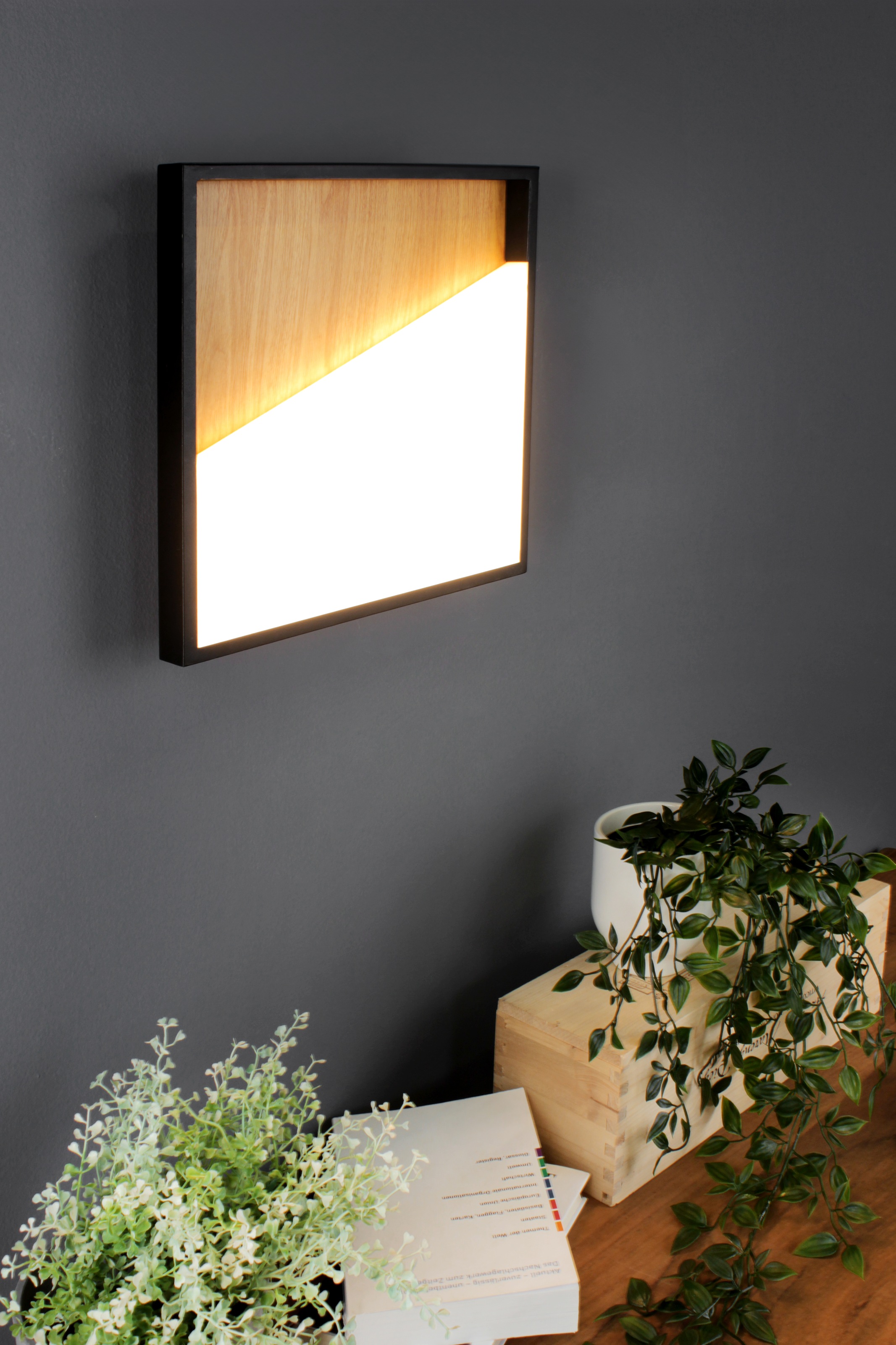 ECO-LIGHT LED Wandleuchte »Vista«, LED fest integriert, Gr. ca. 40 x 40 cm