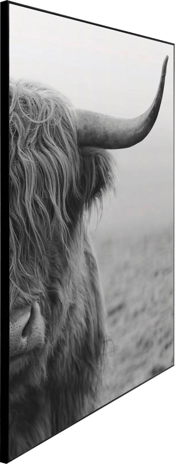 Reinders! Wandbild »Slim OTTO Highlander« 50x70 Frame im Online Black Shop