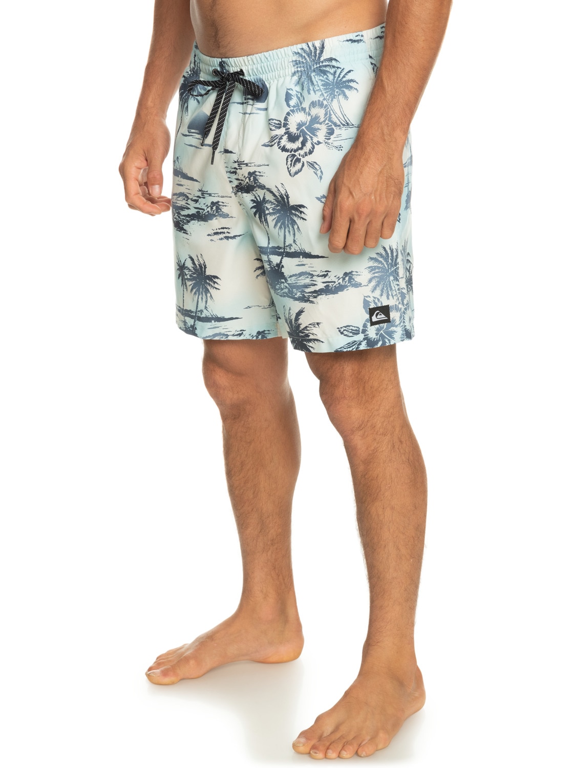 Quiksilver Boardshorts »Everyday Mix 17"«