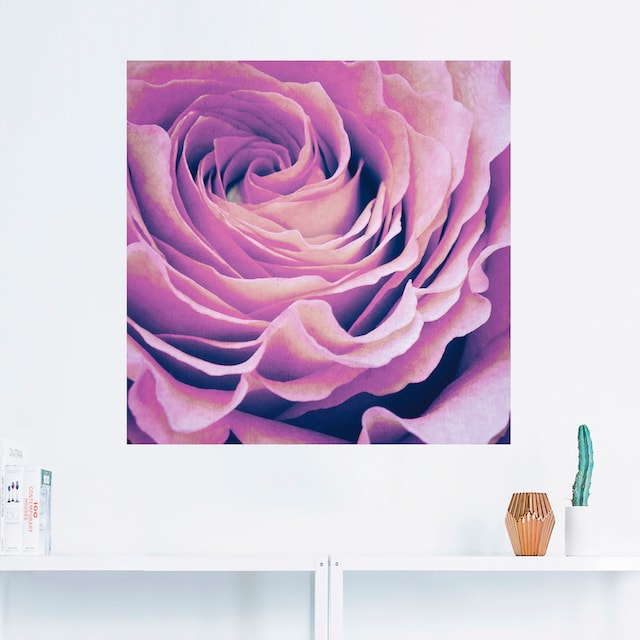 Artland Wandbild »Lila Rose«, Blumen, (1 St.), als Alubild, Leinwandbild,  Wandaufkleber oder Poster in versch. Größen bestellen im OTTO Online Shop