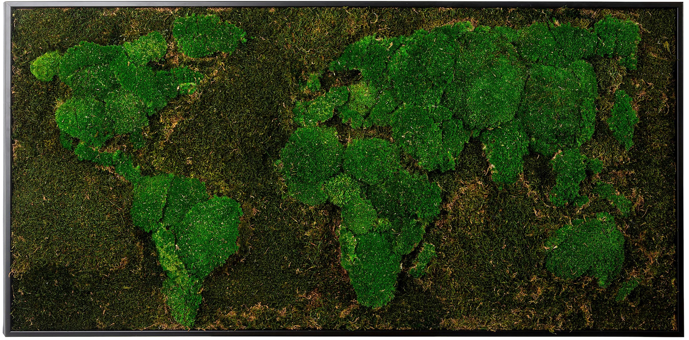 Bönninghoff Bild mit Rahmen »Moos«, Weltkarte, (1 St.), jedes Bild ein Unikat, BxH: 120x60 cm